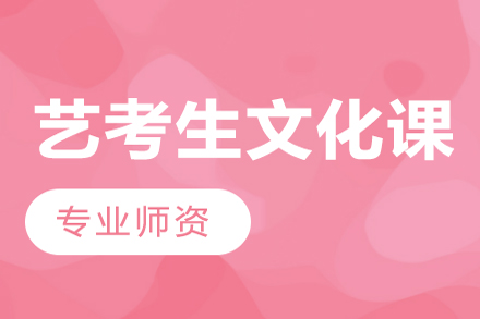 艺术生文化课培训