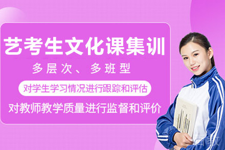 艺考生文化课集训班
