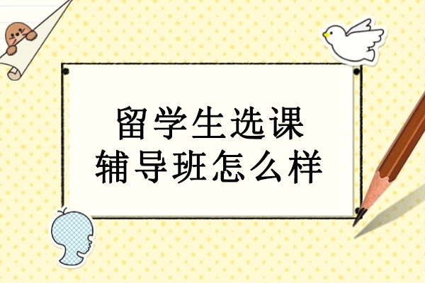 北京留学生选课辅导班怎么样