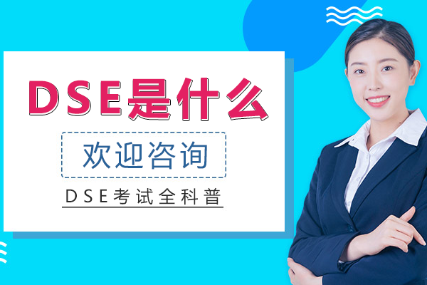 DSE是什么