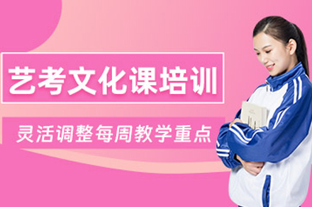 成都艺考生文化辅导班