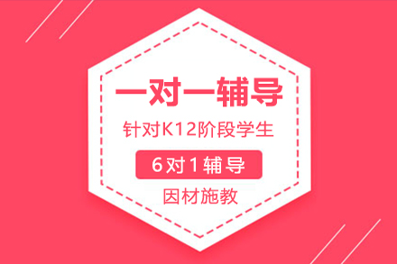 全学段一对一辅导