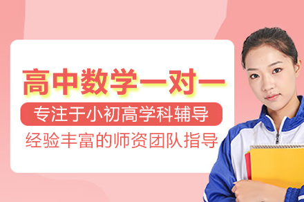 武汉高中数学一对一培训班