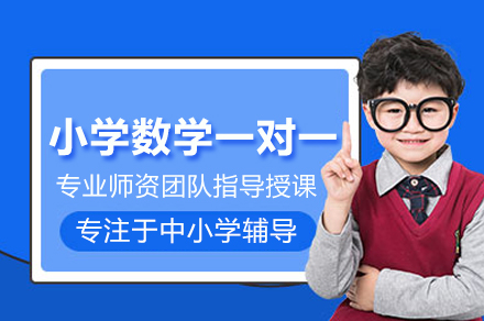 武汉小学数学一对一培训班