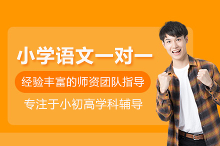 武汉小学语文一对一培训班