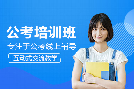 公考特训计划线上辅导培训班
