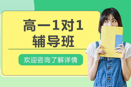 北京高一1对1辅导班