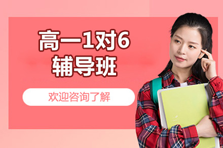 北京高一1对6辅导班
