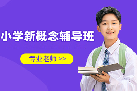 上海小学新概念辅导班