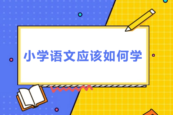 小学语文应该如何学