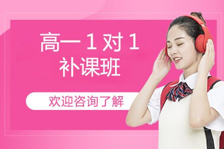 北京高一1对1补课班
