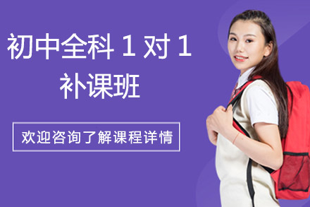 北京初中全科1对1补课班