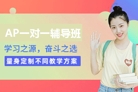 厦门AP一对一辅导班