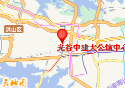 光谷中建大公馆中心