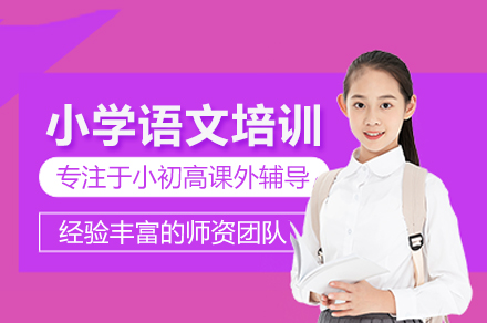 武汉小学语文培训班