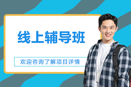 北京线上辅导班