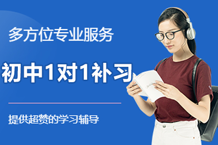 沈阳初中一对一补习班