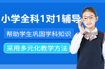 沈阳小学全科1对1辅导课程