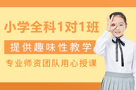 沈阳小学一对一补习班