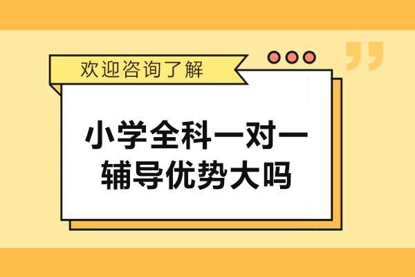 小学全科一对一辅导优势大吗