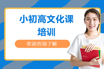 小初高文化课培训