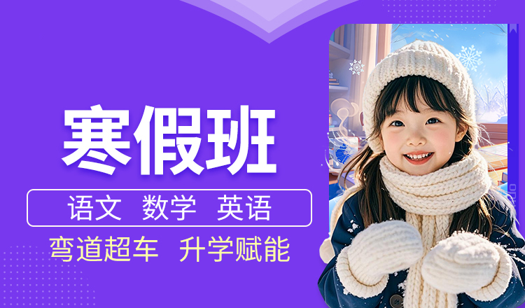语数外寒假班