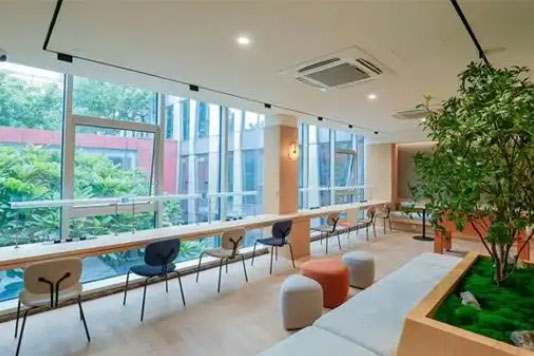 济南蔚来国际教育