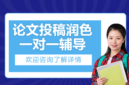 论文投稿润色一对一辅导网课课程