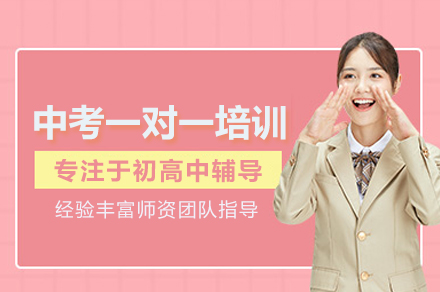 武汉中考一对一培训班