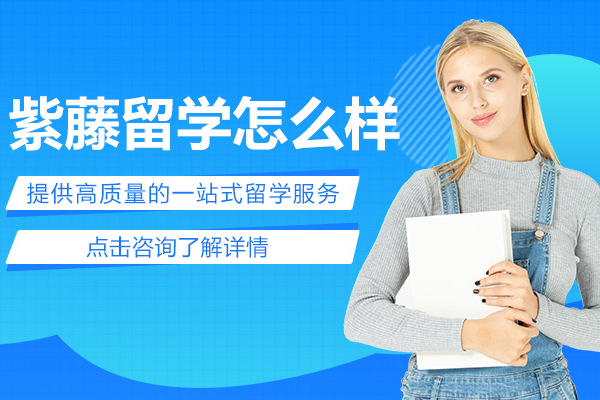 上海紫藤留学怎么样