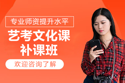 北京艺考文化课补课班