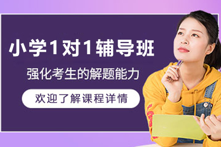 昆明小学1对1辅导班