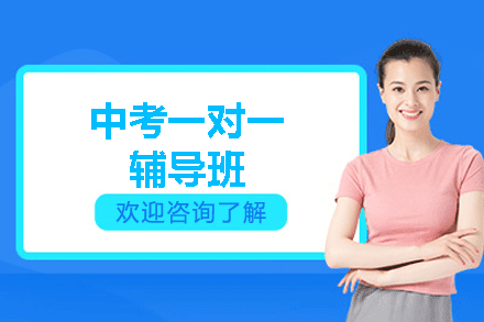 福州中考一对一辅导班