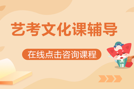 艺考文化课补习班