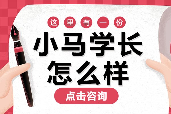 上海小马学长怎么样