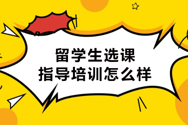 留学生选课指导培训怎么样