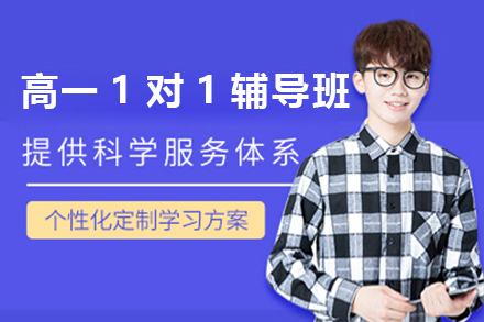 南京高一1对1辅导班
