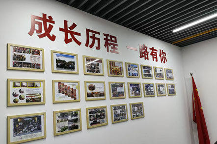 学校照片墙