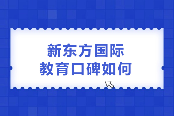 沈阳新东方国际教育口碑如何