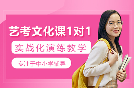 北京艺考文化课一对一培训班
