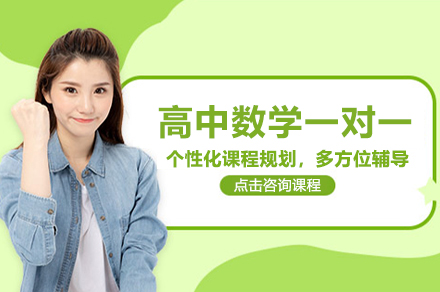 北京高中数学一对一培训班