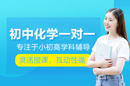北京初中化学一对一培训班