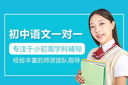 北京初中语文一对一培训班