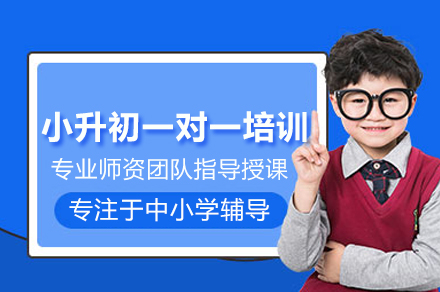 北京小升初一对一培训班