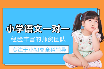 北京小学语文一对一培训班