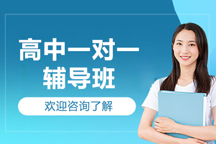 北京高中一对一辅导班