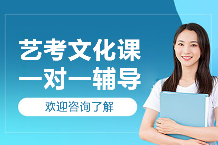 北京艺考文化课一对一辅导
