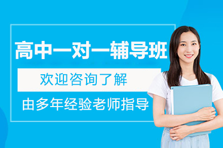 北京高中一对一辅导班