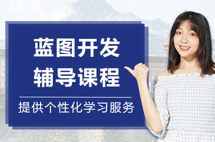成都蓝图开发辅导课程