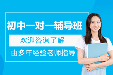 北京初中一对一辅导班